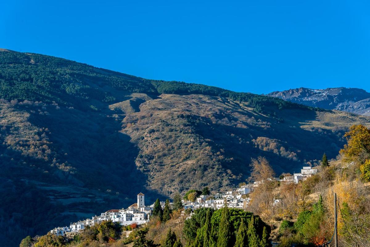Apartamento Casa Manuela En Capileira - Alpujarra エクステリア 写真